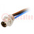 Connector: M8; 0.2m; male; PIN: 3; for panel mounting,screw-in