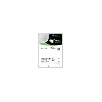 HDD Seagate Exos X18 ST16000NM000J - Festplatte - 16TB