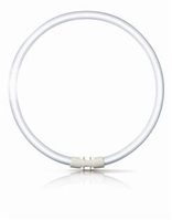 Philips Master T5 Fluorescente circular T5