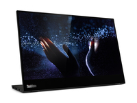 Lenovo M14t LED display 35,6 cm (14") 1920 x 1080 Pixels Full HD Touchscreen Zwart