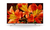 Sony FW-65BZ35F affichage de messages Écran plat de signalisation numérique 165,1 cm (65") LCD Wifi 620 cd/m² 4K Ultra HD Noir Android 7.0 24/7