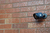 Yale SV-4C-2ABFX-2 bewakingscamera Rond CCTV-bewakingscamera Binnen 1920 x 1080 Pixels Muur