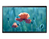 Samsung LH24QBREBGC Digitale signage flatscreen 60,5 cm (23.8") Wifi 250 cd/m² Full HD Zwart Tizen 16/7
