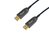 Equip 119445 kabel DisplayPort 50 m Czarny