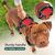 BLUZELLE Dog Harness for Small Dogs, Reflective Dog Vest Padded Pet Coat, Adjustable Chest Harness with Training Handle & Pocket for GPS Tracker Tag, No Pull Anti Pull Harness, ...
