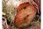 Silky Japansäge Gomtaro Wurzel 240mm, doppelt gehärtetes Blatt, 8 ZpZ grob