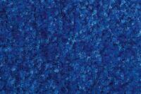 Schmutzfangmatte EAZYCARE Color blau B40xT60 cm