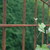 Betonmatten betongaas tuinscherm voor hedera klimplanten gaashewerk schutting roest, maaswijdte 15x15cm ook geschikt voor heidematten, wilgenmatten, bamboematten, boomschorsmatten, rietmatten.