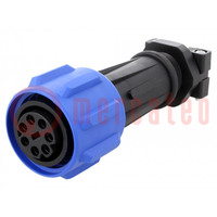 Connector: circular; plug; female; PIN: 7; Buccaneer 900; for cable