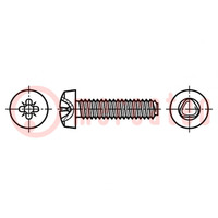 Schraube; für Metall; 2x6; Kopf: Zylinder; Pozidriv; PZ1; Zink