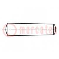 Cone stud; A2 stainless steel; BN 685; Ø: 1.5mm; L: 12mm; DIN 1