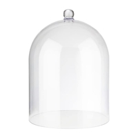 GRANDE CLOCHE POLYCARBONATE 300X400 MM - APS 6525