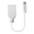 Lindy 41021 DisplayPort-Kabel 0,15 m Mini DisplayPort Weiß