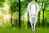 Paulmann 29130 LED-lamp Warm wit 3000 K 2,5 W E14 A