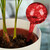 Relaxdays Bewässerungskugel 2er Set, dosierte Pflanzen Bewässerung, Blumentopf, Gießhilfe Büro, Urlaub, Glas Ø 9 cm, rot