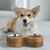 Relaxdays Hundenapfbar, für Hunde, 2 Edelstahlnäpfe je 400ml, HBT: 8x30,5x14,5 cm, Futterbar, Trinknapf, natur/silber