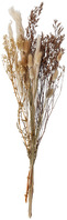 Trockenblumenbundle Alia; 65 cm (L); weiß/natur