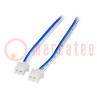 Cable; both sides,XHP-2; blue/white; 0.3m