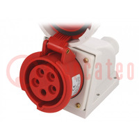 Connector: AC supply 3-phase; socket; female; 16A; 400VAC; IP67