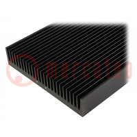 Heatsink: extruded; grilled; black; L: 1000mm; W: 250mm; H: 50mm