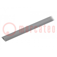 Closed cable trunkings; grey; L: 1m; Mat: PVC; H: 6mm; W: 20mm; H1: 4mm
