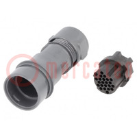 Connector: circular; plug; female; PIN: 22; w/o contacts; for cable
