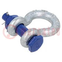 Dee shackle; steel; for rope; zinc; 13mm; 1/2"