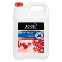 Boldair PV21248502 nettoyeur et rénovateur de sol Liquide (prêt à l'emploi)