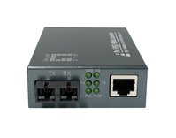 LevelOne GVT-2013 netwerk media converter 1000 Mbit/s 850 nm Multimode Grijs