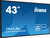 iiyama LE4341UHS-B1 signage display Płaski panel Digital Signage 108 cm (42.5") LCD 350 cd/m² 4K Ultra HD Czarny 18/7