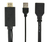 Gembird A-HDMIM-DPF-01 video kabel adapter 0,1 m HDMI Type A (Standaard) DisplayPort + USB Type-A Zwart