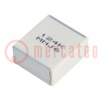 Capacitor: polyester; automobile electronics; 120nF; 250VAC; ±10%