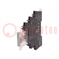 Relay: interface; SPDT; Ucoil: 24VDC; 6A; 6A/250VAC; 6A/30VDC; 100mΩ