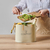 SEAU A COMPOST 7L OVALE BEIGE AVEC FILTRE GUILLOUARD 1236231