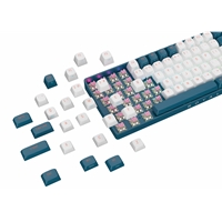 Royalaxe R87 Hot Swappable Mechanical Keyboard 80% TKL Design 89 Keys 2.4GHz Bluetooth 5.0 or Wired Connection TTC Golden-Pink Switches RGB Windows and Mac Compatible UK Layout