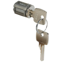 Legrand 020294 lock cylinder