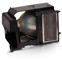 InFocus Lampe de rechange pour vidéoprojecteur X1, X1a