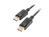 Lanberg CA-DPDP-10CC-0010-BK DisplayPort kábel 1 M Fekete