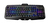 iogear HVER PRO X RGB toetsenbord USB Zwart
