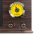 Fenton RP173 Audio-Plattenspieler mit Riemenantrieb Holz, Gelb