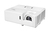 Optoma ZW350 videoproiettore Proiettore a raggio standard 3500 ANSI lumen DLP WXGA (1280x800) Compatibilità 3D Bianco