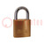 Padlock; brass; single bolted; shackle; A: 20mm; C: 3mm; B: 13mm