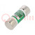 Fuse: fuse; time-lag; 8A; 600VAC; 300VDC; industrial; 20.6x57.2mm