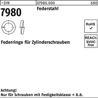 Federring DIN 7980 f.Zylinderschrauben 5