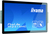 iiyama ProLite TF2415MC-B2 computer monitor 60.5 cm (23.8") 1920 x 1080 pixels Full HD LCD Touchscreen Multi-user Black