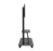 Celexon 55120MP 3,05 m (120") Zwart