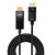 Lindy 40924 video átalakító kábel 0,5 M DisplayPort HDMI A-típus (Standard) Fekete