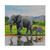 CRAFT Buddy Elephants