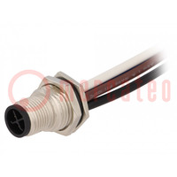 Presa; M12; PIN: 4; maschio; codice S-Power; conduttori; IP67; 12A