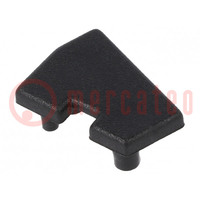 Cap for LED profiles; black; 2pcs; ABS; GEN2,with hole; EDGE10